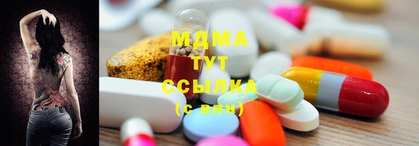 прущие грибы Алзамай