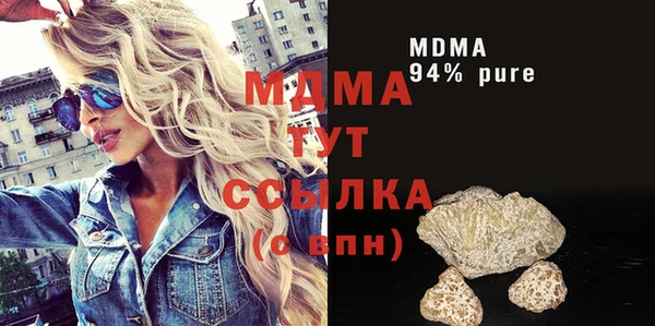 прущие грибы Алзамай