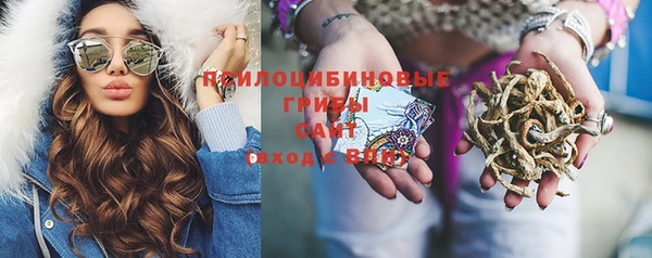 прущие грибы Алзамай