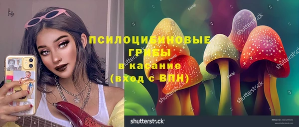 прущие грибы Алзамай