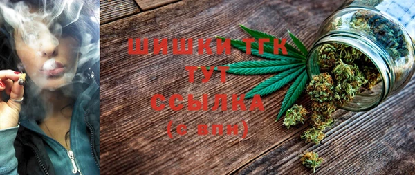 ГАЛЛЮЦИНОГЕННЫЕ ГРИБЫ Алексеевка